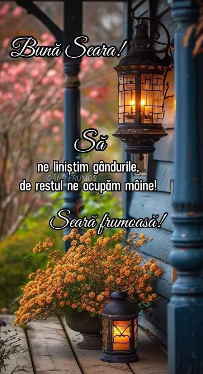 O seară frumoasă și liniștită vă doresc tuturor alături de cei dragi vouă!💫🍂💫