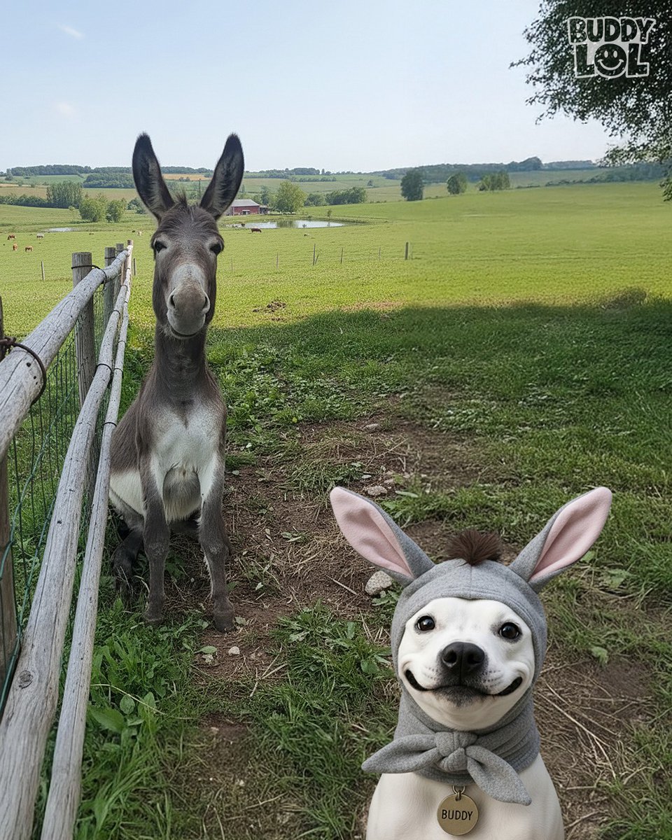TweeetsOfDogs's tweet image. The selfie of the year❤️