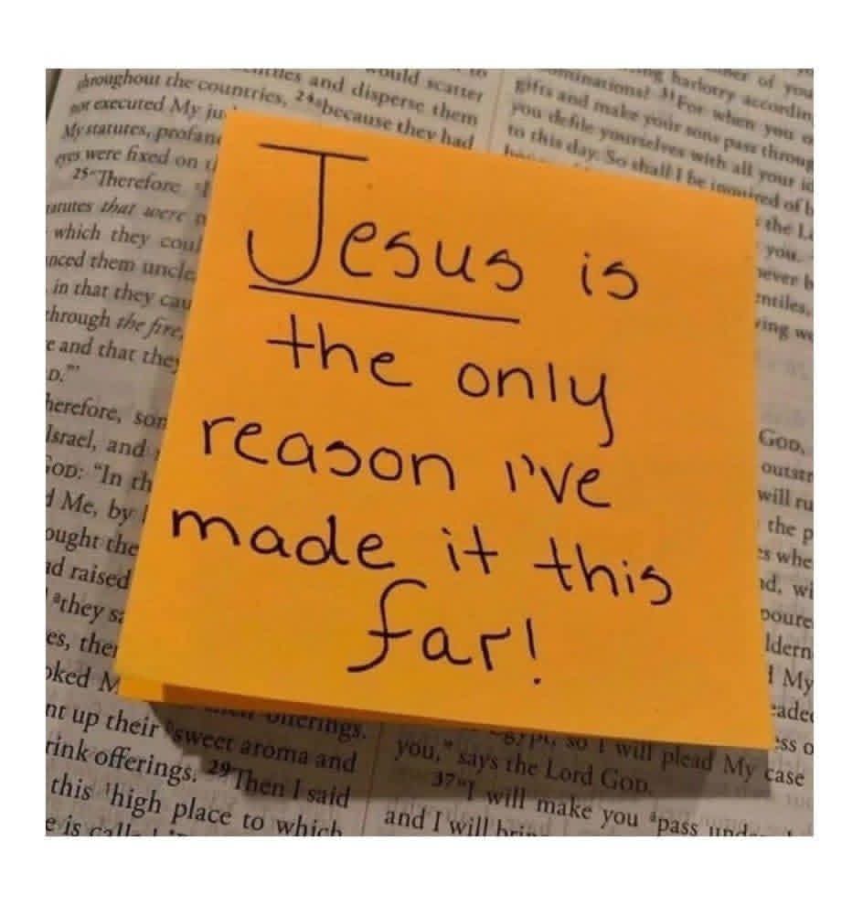 Dear Mind. tweet media