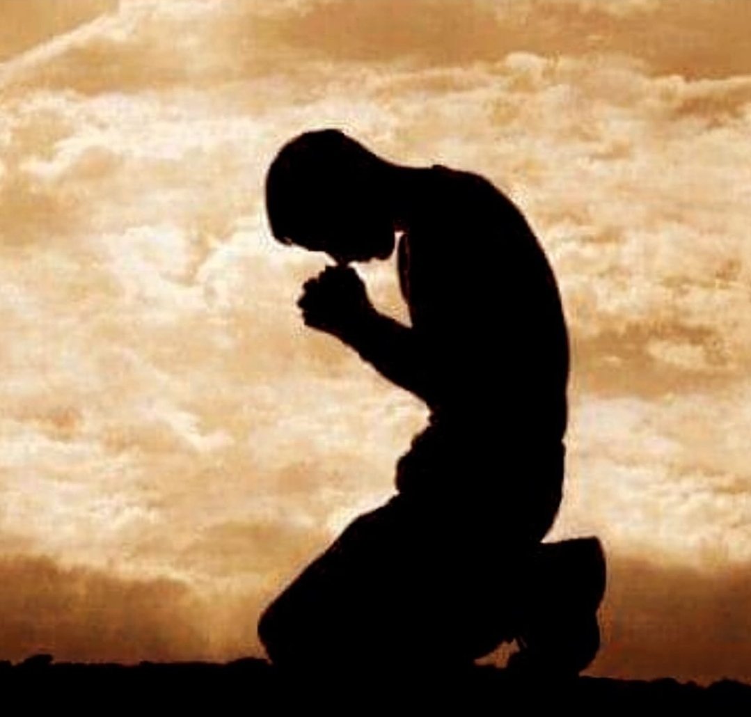 PRPL 💜 tweet media