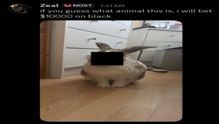 Zeal is currently live streaming development of the upcoming charms!

Check out here: youtube.com/live/K8V2PwavE…

#Roblox #Pressure #RobloxPressure #PressureRoblox