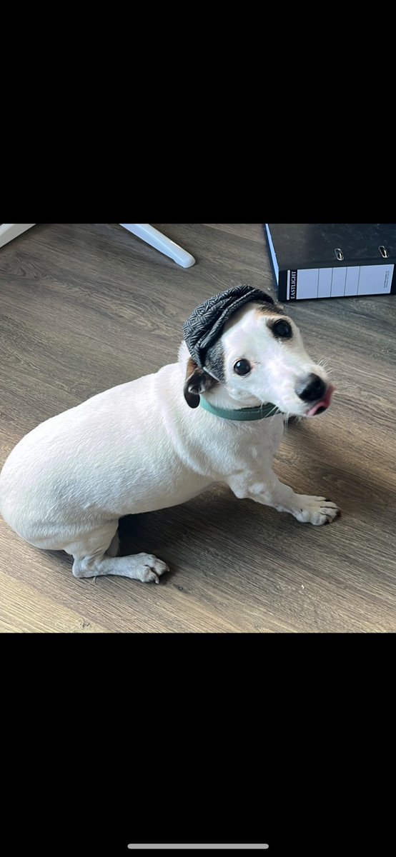 SteezeMcQueen tweet media