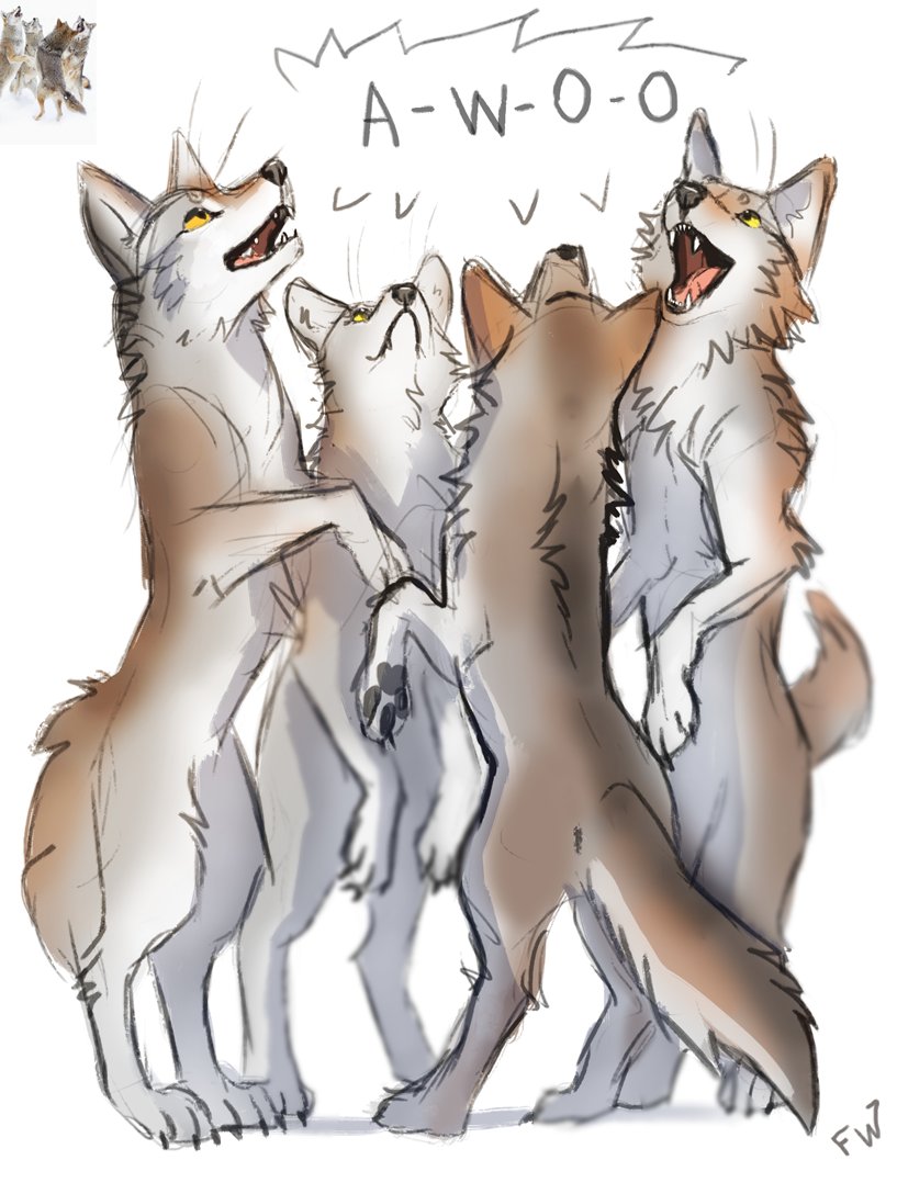 Wolves doin’ wolf things 

Good example of ready art for this furaffinity.net/view/62701280/