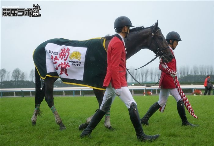 【雨中の奇跡の軌跡】
2017年10月22日、菊花賞。雨で不良馬場となった一戦を制したのはルーラーシップ産駒のキセキ。

先日サインが勝利し産駒初勝利を果たしたキセキが菊花賞馬となって、今日でちょうど8年。
#キセキ #菊花賞 #M・デムーロ 
keibalab.jp/db/race/201710…