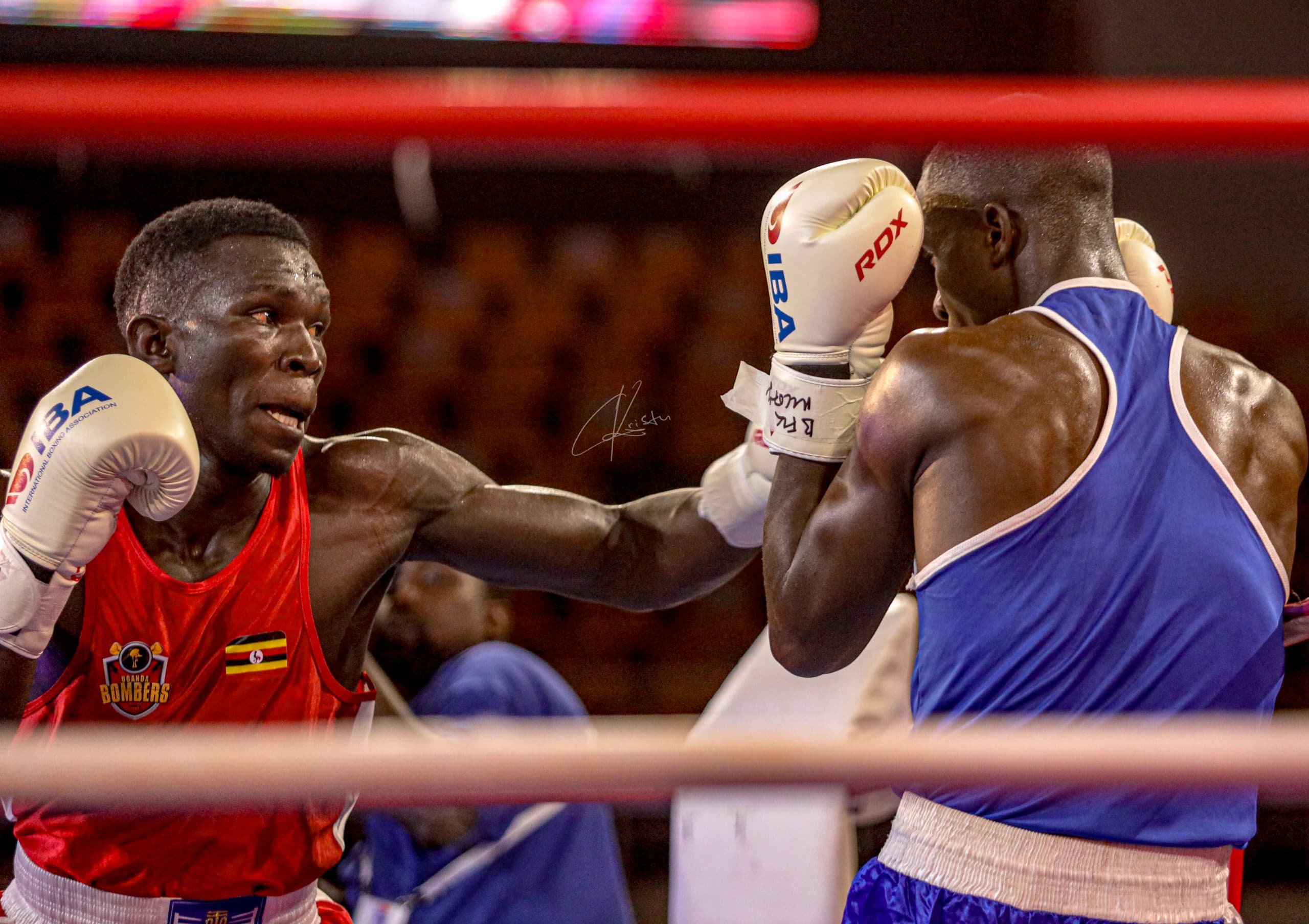 boxerjuntaro boxer juntaro supreme カーミット boxerjuntaro boxer juntaro supreme カーミット boxerjuntaro boxer