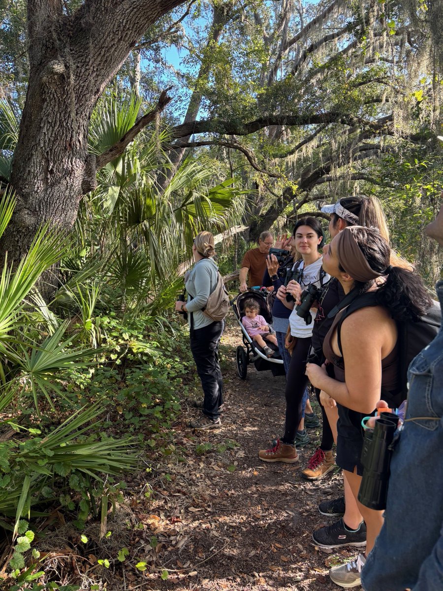 Audubon Florida tweet media