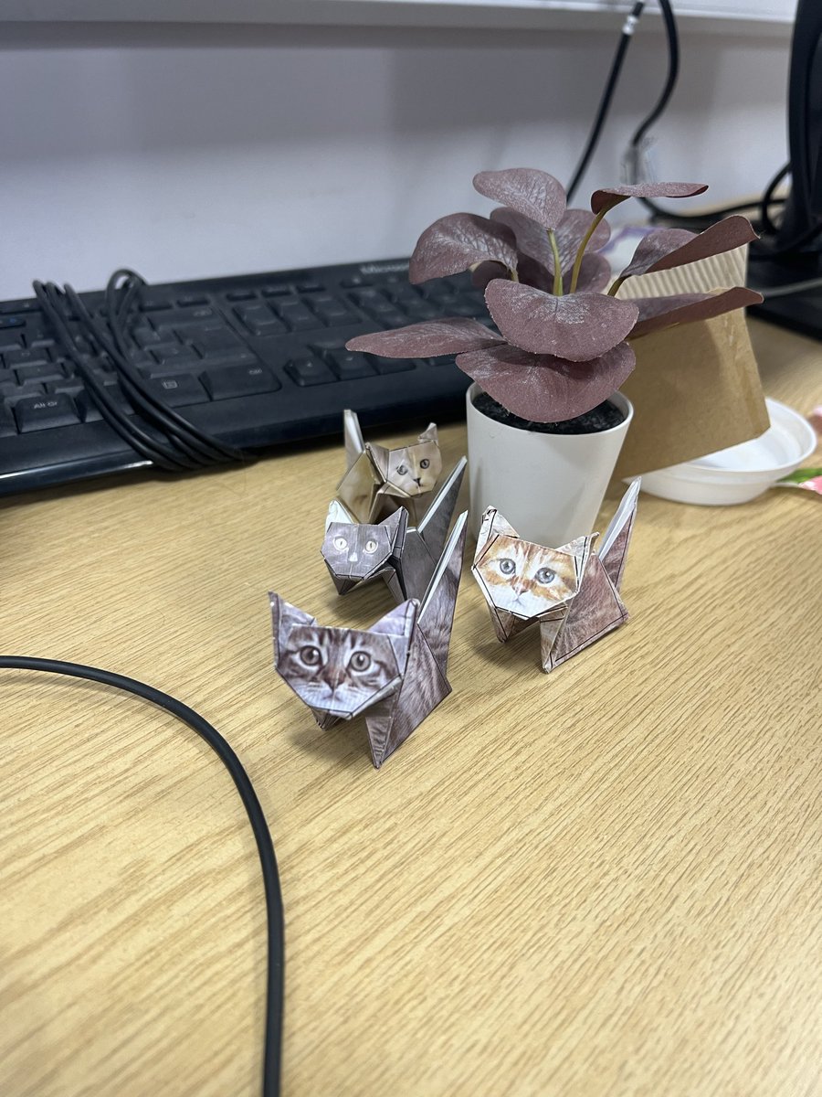 Owl_spark_2's tweet image. I make them stare at me when I code so I’m forced to lock in out of fear