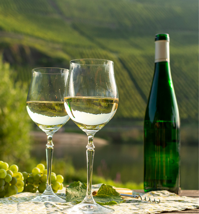 Do you like Riesling wines? Join the Guild to explore the best regions including Germany, France, Australia and Canada. We will taste 12 different and unique wines including dry, semi-dry and sweet. Register here: ow.ly/lM1T50XfE3J