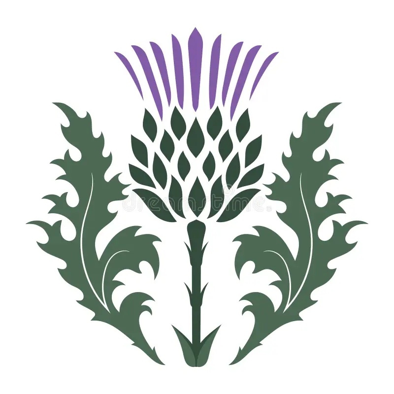 Ivarheim's tweet photo. @Zlofsky2nd the shortblade is also really reminiscent of a scottish dirk, and the hilt backs this up as it looks very similar to the scottish thistle - https://t.co/TYRgZlcO7O - https://t.co/u3Woy8sYs2