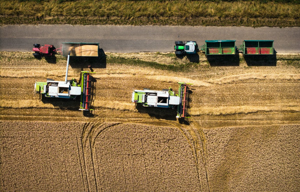 In de wereld van transport en logistiek telt efficiëntie enorm. Elke minuut winst in het magazijn of laadperron betekent lagere kosten, en snellere levertijden. Leasen biedt een slimme uitweg om de hoge aanschafkosten van materieel te voorkomen. Hoe dan?: zelfbouwinnederland.nl/informatie/alg…