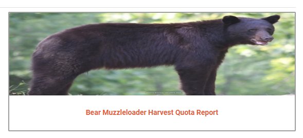 Why is the black bear on your website so long <a href="/OKWildlifeDept/">Oklahoma Department of Wildlife Conservation</a> ?