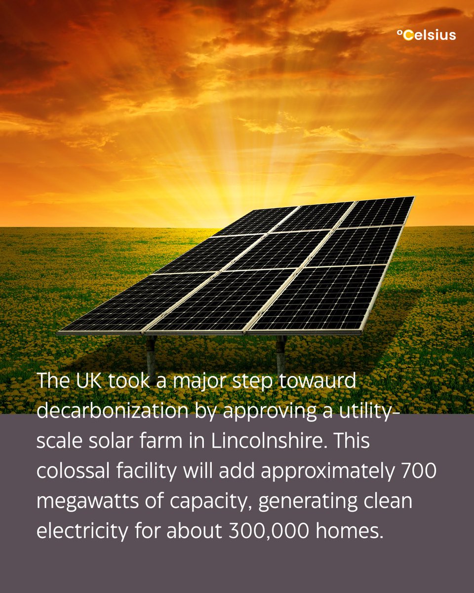 Celsius Foundation tweet media