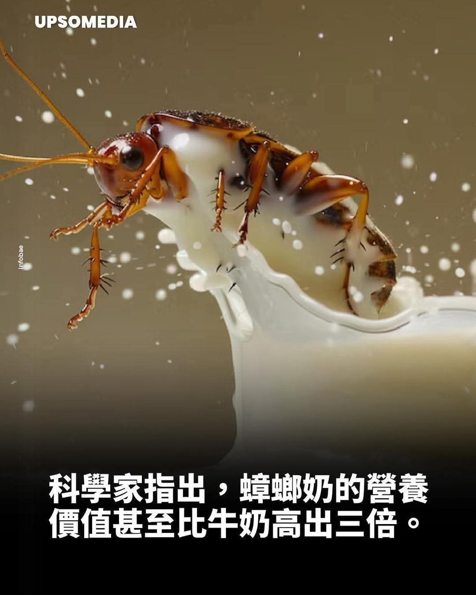 謝謝你的研究，但我選擇喝三杯牛奶。