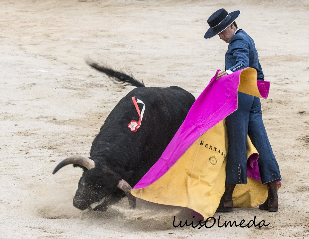 Lances a la Verónica, en el Festival de Chinchón.
Diego Urdiales, Juan Ortega, Pablo Aguado, Aitor Fernández.
19 Octubre 2025.
luisolmedaparis.blogspot.com.es