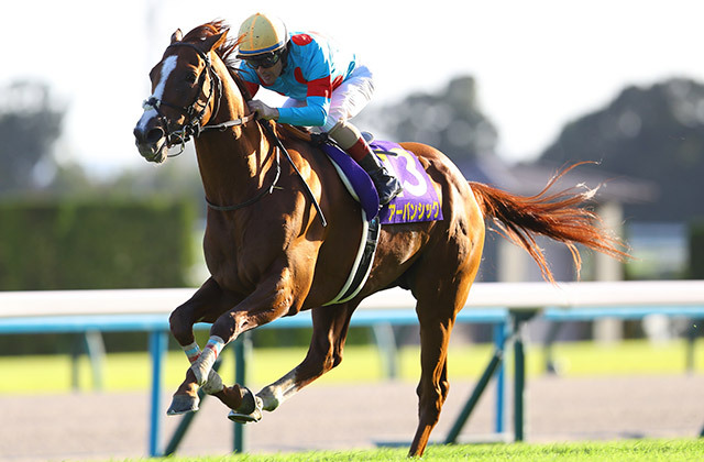 今週末の26日は牡馬クラシック最終戦の #菊花賞 が行われます。昨年は