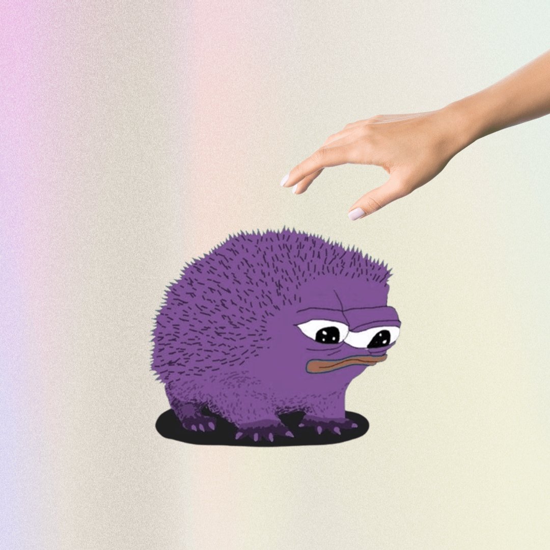 thedaks_png's tweet image. 1 like = 1 gentle pat on the Molandak
