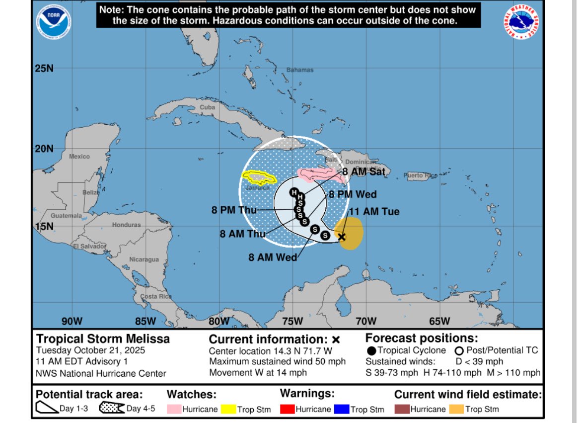 CollinRL tweet media