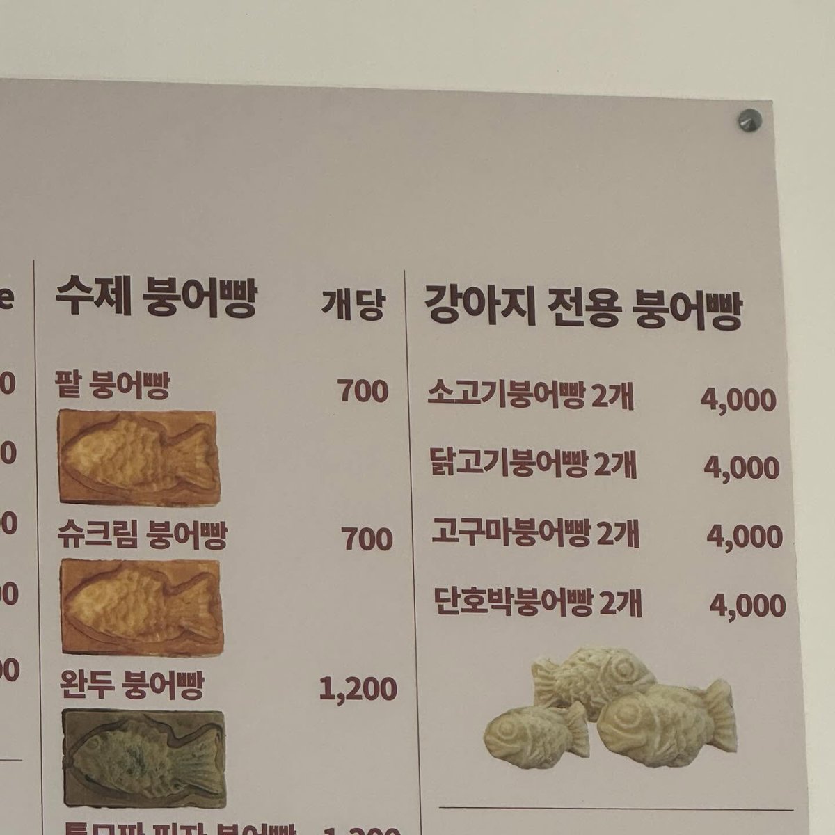 나는 왜 사람이라서 소고기붕어빵을 못먹읆가