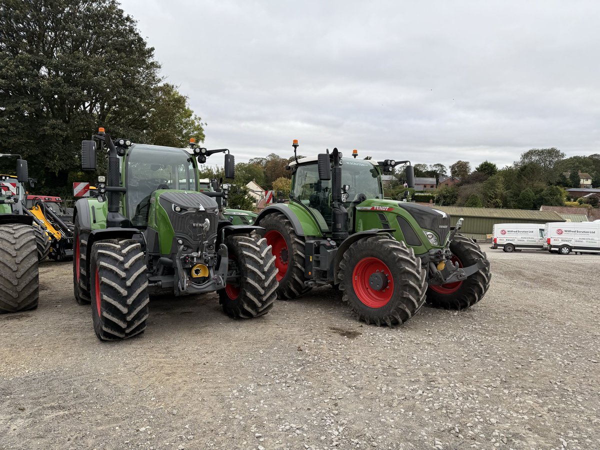 James Falkingham tweet media