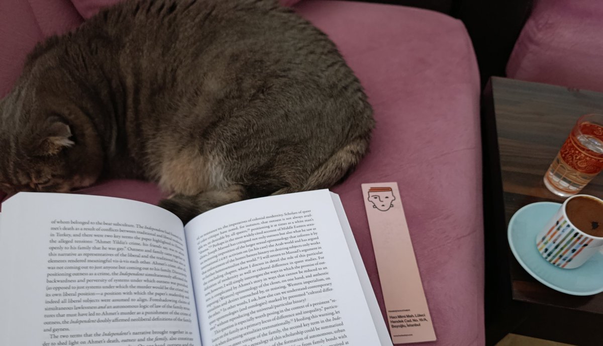 Özgürlük yolu 📚😊😺💛☕#evrensavcı #queerintranslation #kitap #kahve #ekim