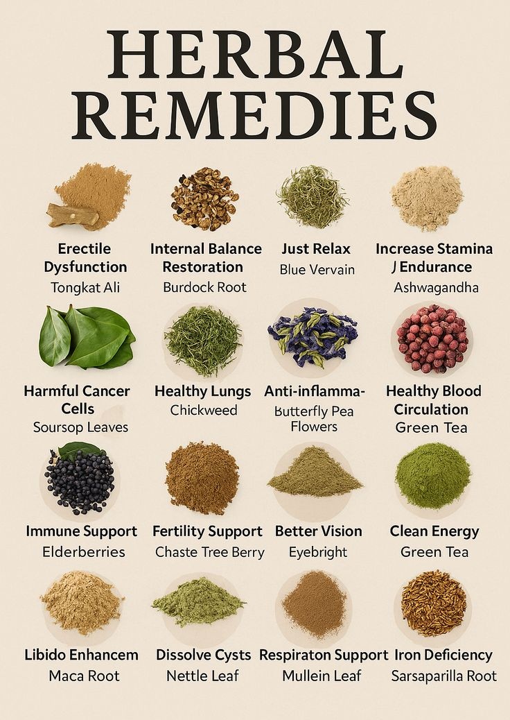 🚨  HERBAL REMEDIES FOR VARIOUS HEALTH CHALLENGES 

- Erectile Dysfunction ⬇️
  - Tongkat Ali

- Internal Balance Restoration ⬇️
  - Burdock Root

- Just Relax⬇️
  - Blue Vervain

- Increase Stamina / Endurance⬇️
  - Ashwagandha

- Harmful Cancer Cells⬇️
  - Soursop Leaves

-