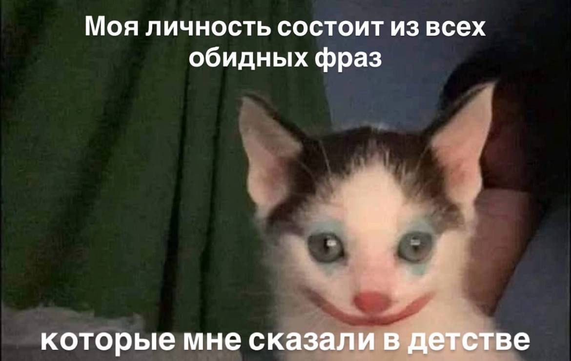 cats, i love cats (@catsilcats) on Twitter photo 