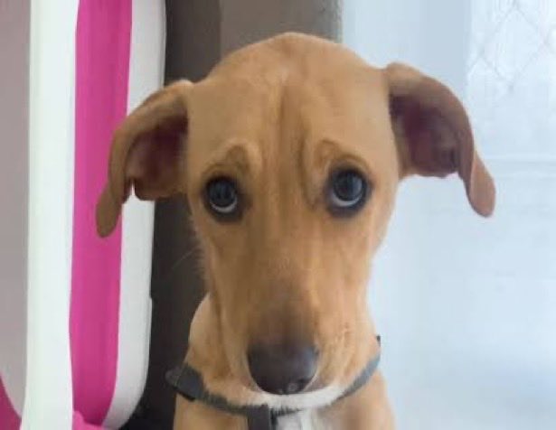 To desesperado mas nao vejo a hora de chegar em casa dia 16 de novembro