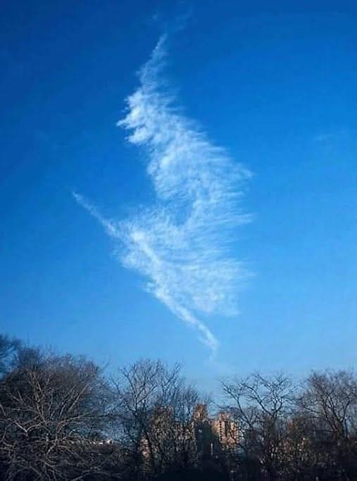 Halloween is on the way