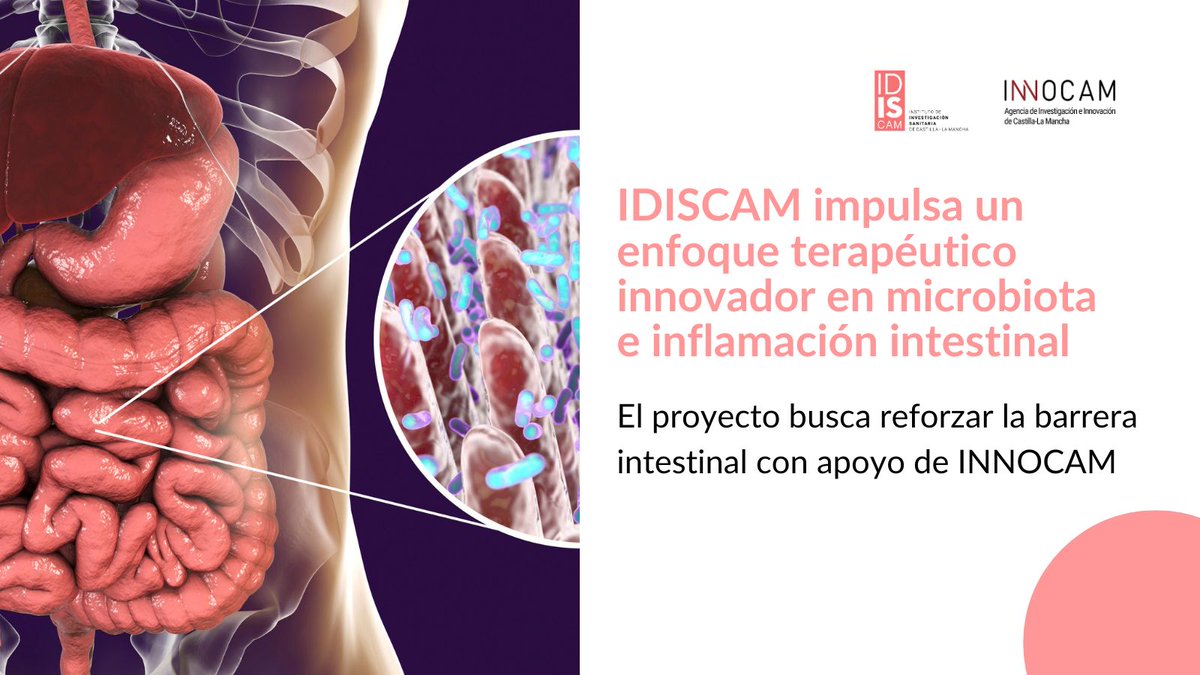La barrera intestinal, clave en salud digestiva

José Abad investiga su restauración con apoyo de #INNOCAM 🧫
