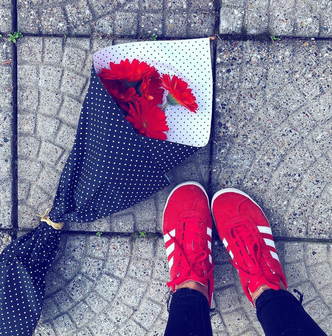 Morticia Addams (@smrtisa) on Twitter photo 