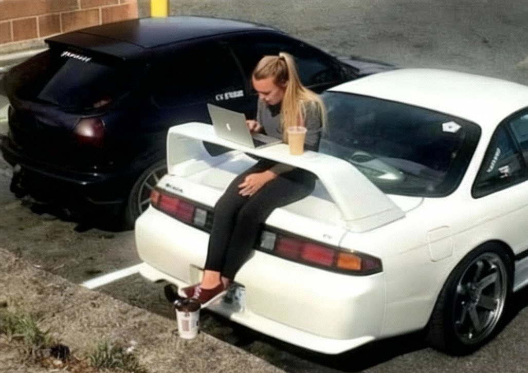 iamfrogribbit's tweet image. whats stopping you from working like this