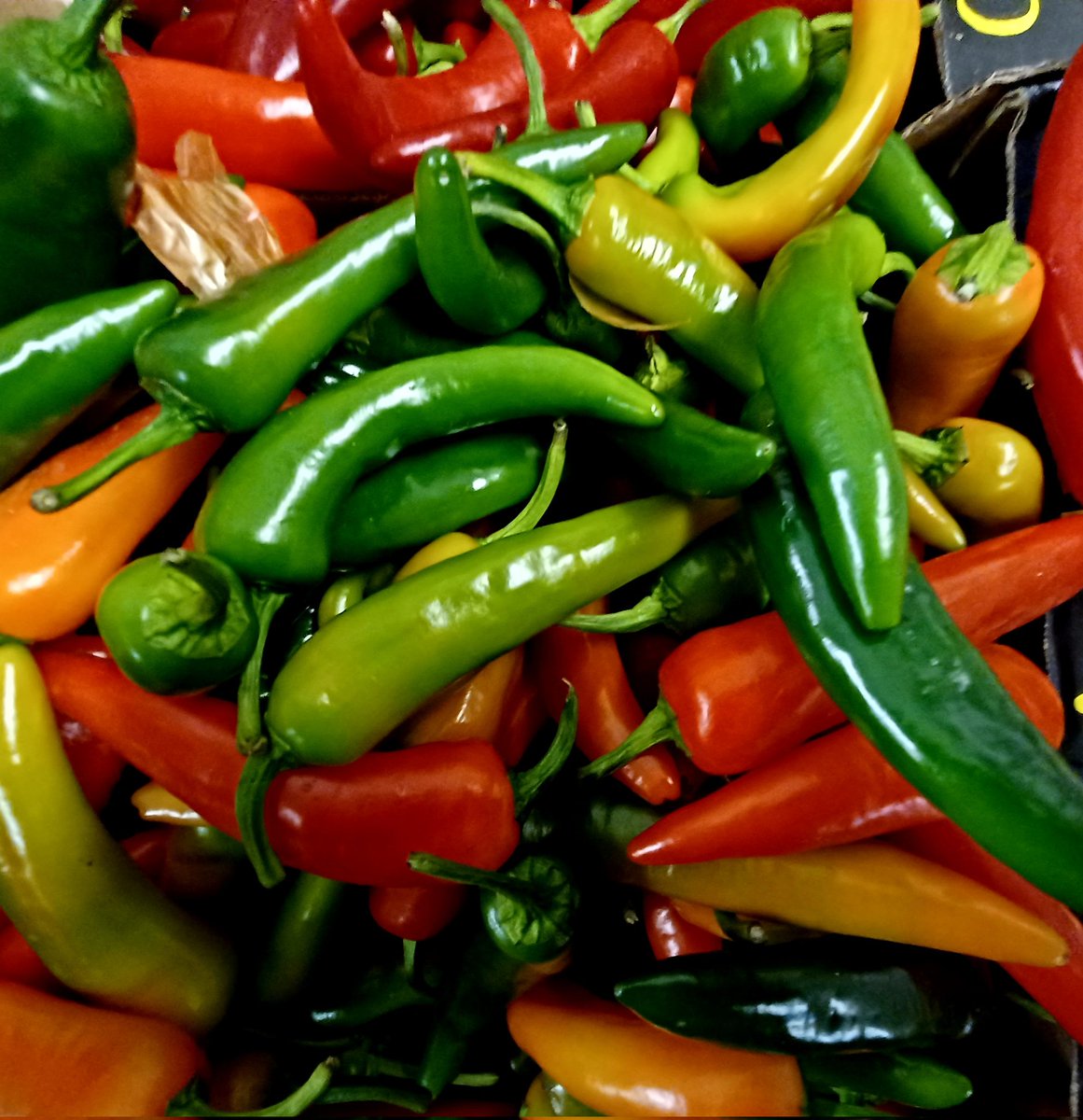 Shop local - shop fresh - fabulous selection of #freshproduce <a href="/SecrettsMilford/">Secretts</a> - product was also in great condition and beautifully presented. Loved the vibrant colours.
#farmhops