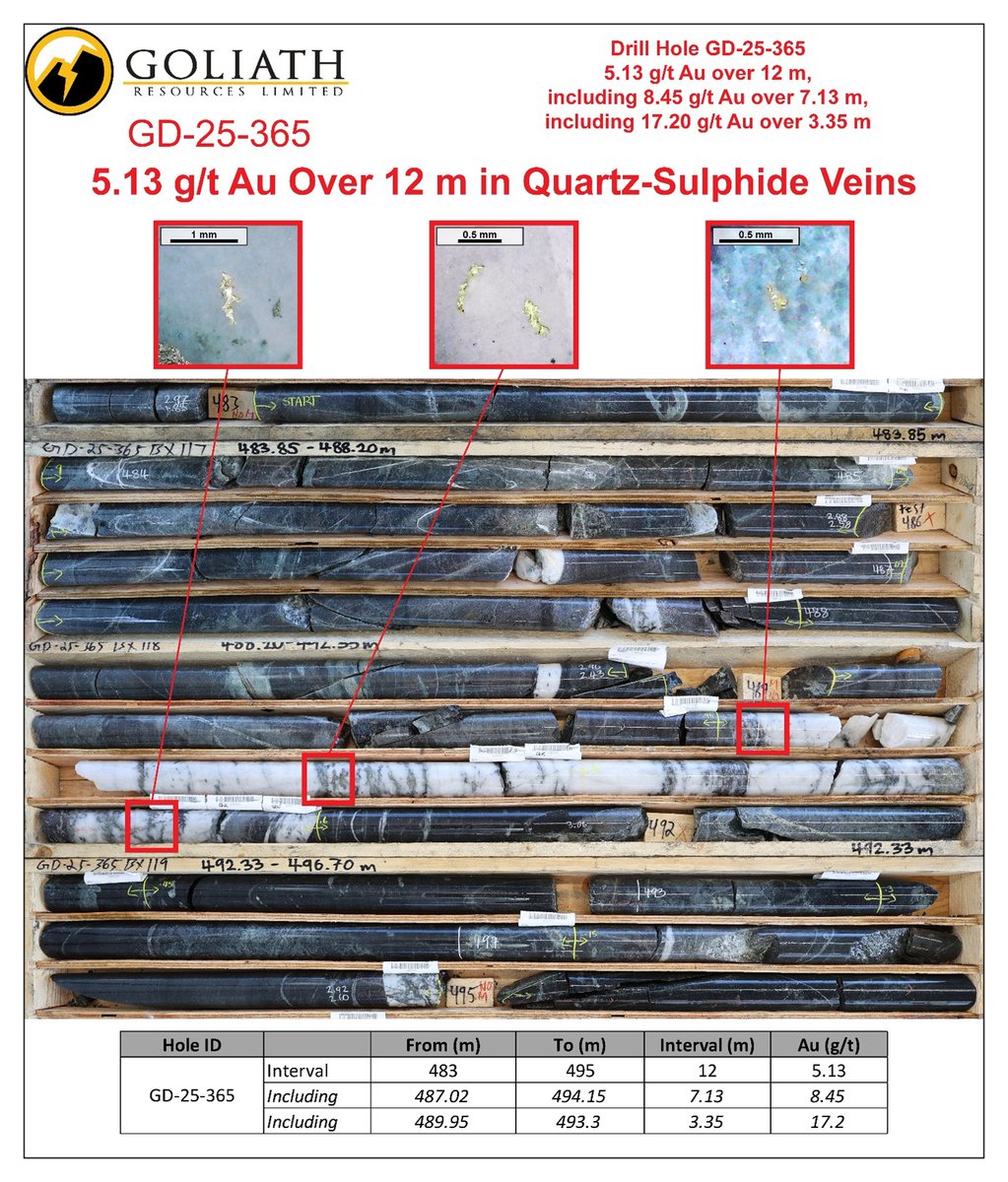 GoliathResource's tweet image. As previously reported on Sept. 22nd, drill hole GD-25-365 intersected 8.45 g/t Au over 7.13 meters, within 5.13 g/t Au over 12.00 meters, including 17.20 g/t Au over 3.35 meters. From an interval containing multiple occurrences of visible gold (VG-NE) within a zone of strong…