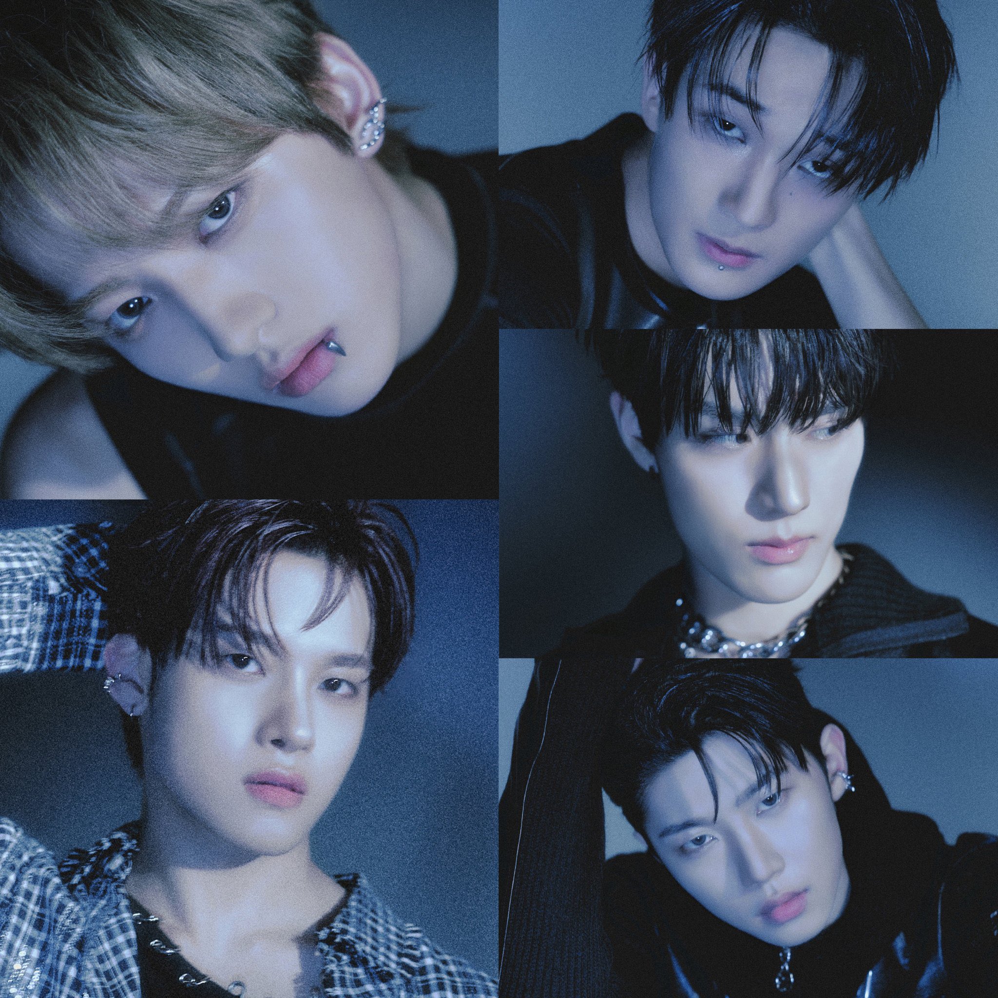 ジンくん - Search / X