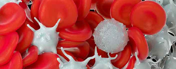 UChicago CME tweet media