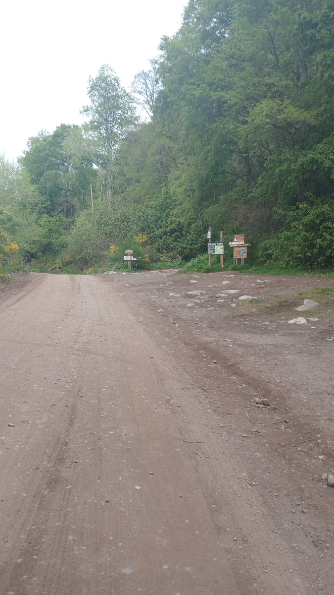 Actividad🏃🏃🏃👌👌👌