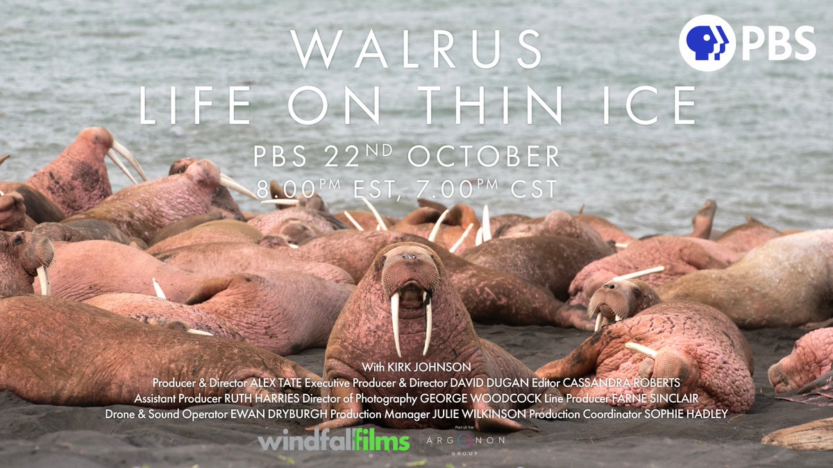 James Burstall (He/Him) tweet media