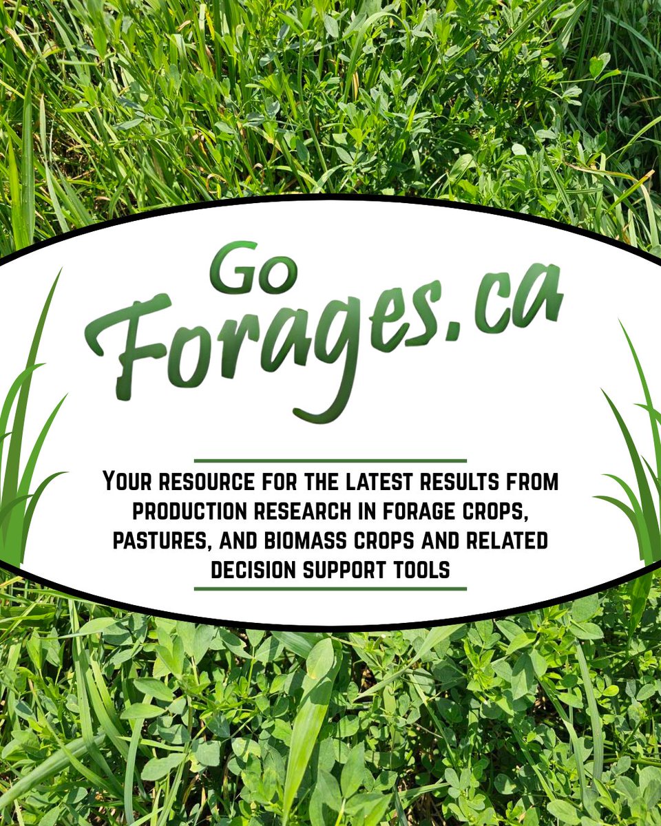 🌱 Did you know there’s a place to find forage tools and resources? Head to GoForages.ca to find the latest results from production research in forage crops, pastures, and biomass crops and related decision support tools.