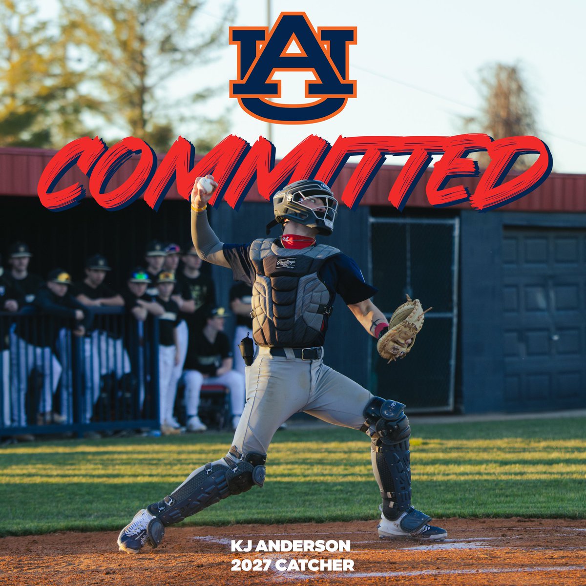 Cookeville Cavalier Baseball ⚾️🇺🇸 tweet media