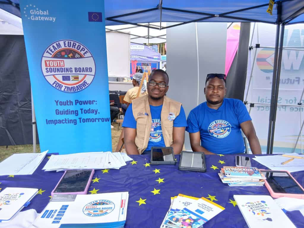 EU Delegation to Zimbabwe 🇪🇺 tweet media