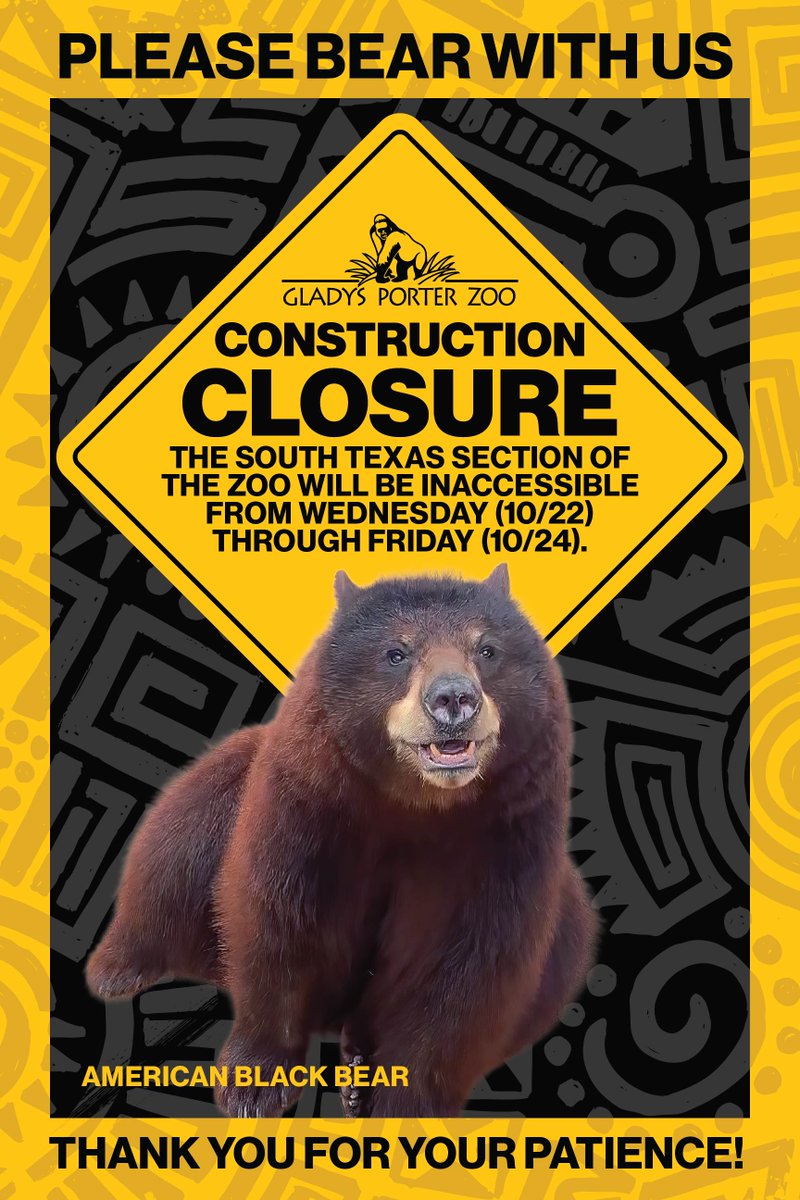 Please bear with us for the next few days 🐻 
Thank you for your patience as we work to improve the Zoo!