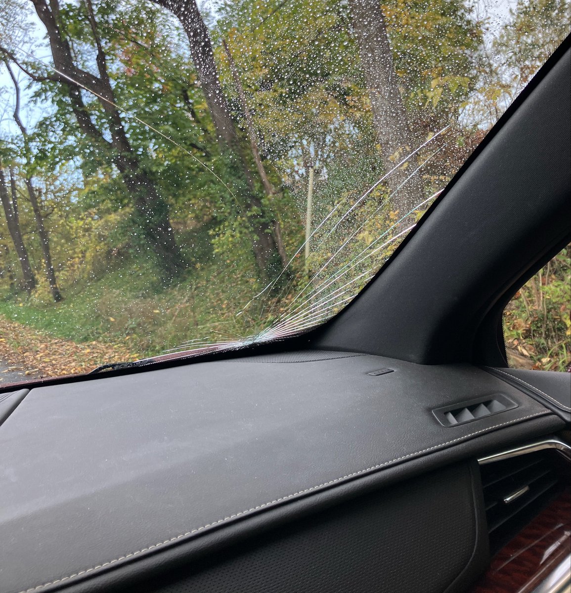 Faith703 😎 tweet media