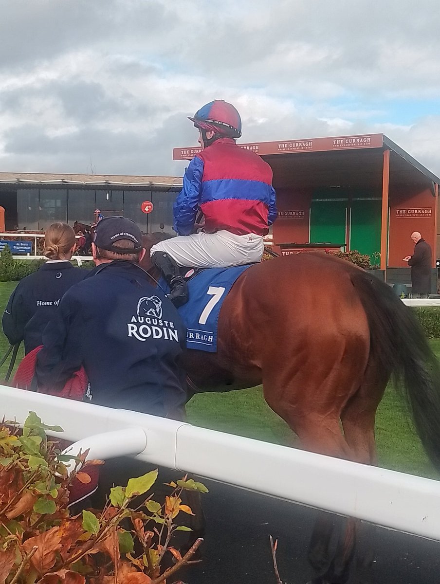 JoeSeward1's tweet image. The Ballydoylle Juveniles have been dominant these last few days ..
2YO&apos;s on 🔥
✔️✔️✔️✔️✔️✔️
SIX ON SATURDAY 
AT LEOPARDSTOWN 
✔️ ONE AT ASCOT 
✔️✔️TWO TODAY AT
CURRAGH @waynemlordan 
Augurs well for 
Benvenuto Cellin on Saturday at Doncaster 
#Curragh
#Doncaster 
#AidanOBrien