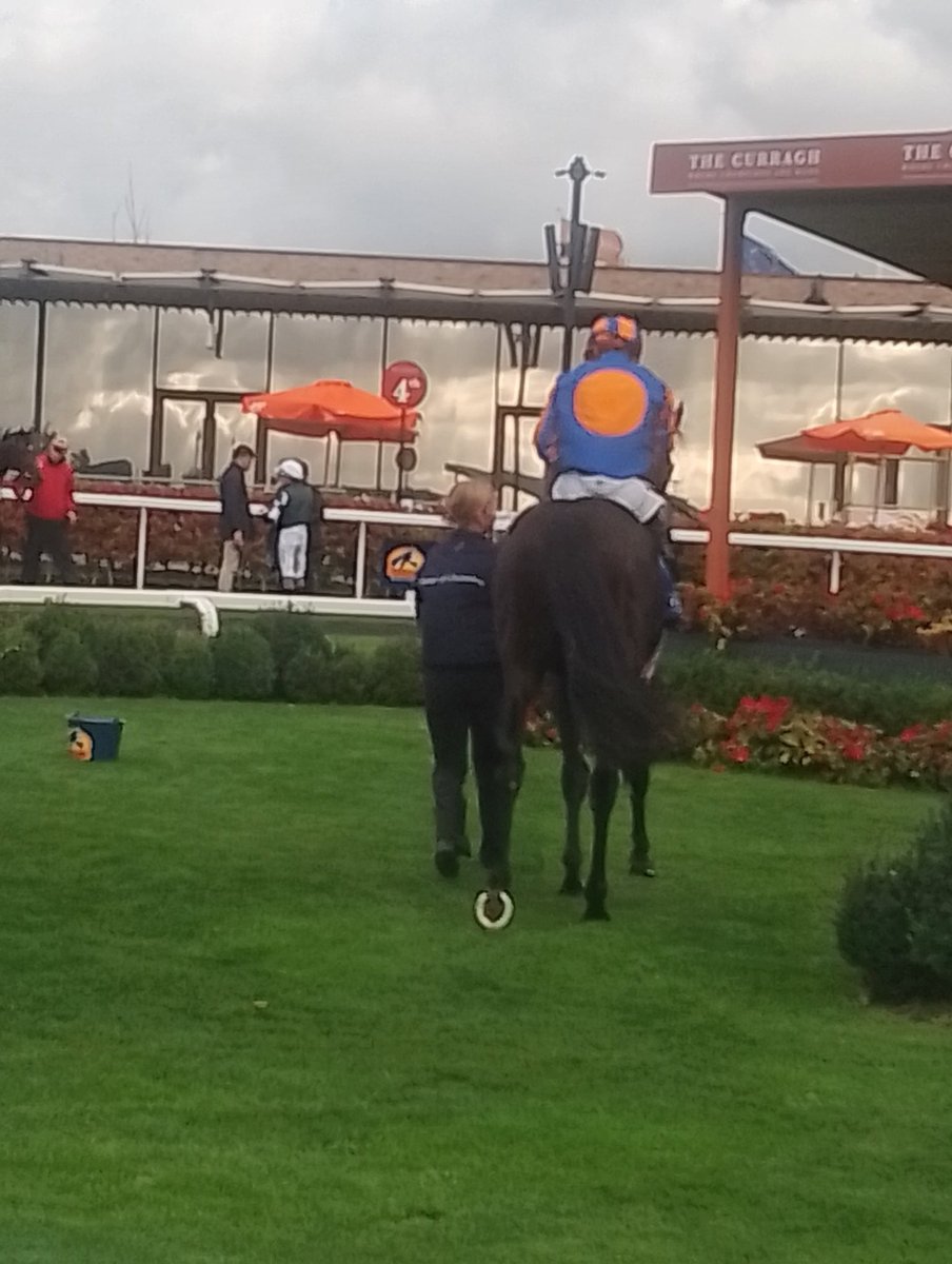 JoeSeward1's tweet image. The Ballydoylle Juveniles have been dominant these last few days ..
2YO&apos;s on 🔥
✔️✔️✔️✔️✔️✔️
SIX ON SATURDAY 
AT LEOPARDSTOWN 
✔️ ONE AT ASCOT 
✔️✔️TWO TODAY AT
CURRAGH @waynemlordan 
Augurs well for 
Benvenuto Cellin on Saturday at Doncaster 
#Curragh
#Doncaster 
#AidanOBrien