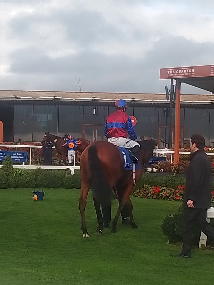 JoeSeward1's tweet image. The Ballydoylle Juveniles have been dominant these last few days ..
2YO&apos;s on 🔥
✔️✔️✔️✔️✔️✔️
SIX ON SATURDAY 
AT LEOPARDSTOWN 
✔️ ONE AT ASCOT 
✔️✔️TWO TODAY AT
CURRAGH @waynemlordan 
Augurs well for 
Benvenuto Cellin on Saturday at Doncaster 
#Curragh
#Doncaster 
#AidanOBrien