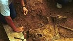 caval100's tweet photo. "La exhumación que hace 25 años rompió el silencio de las fosas de Franco: “No imaginábamos la envergadura de esto”"

https://t.co/LEn4NA9sPd https://t.co/5EwKM5pnBu