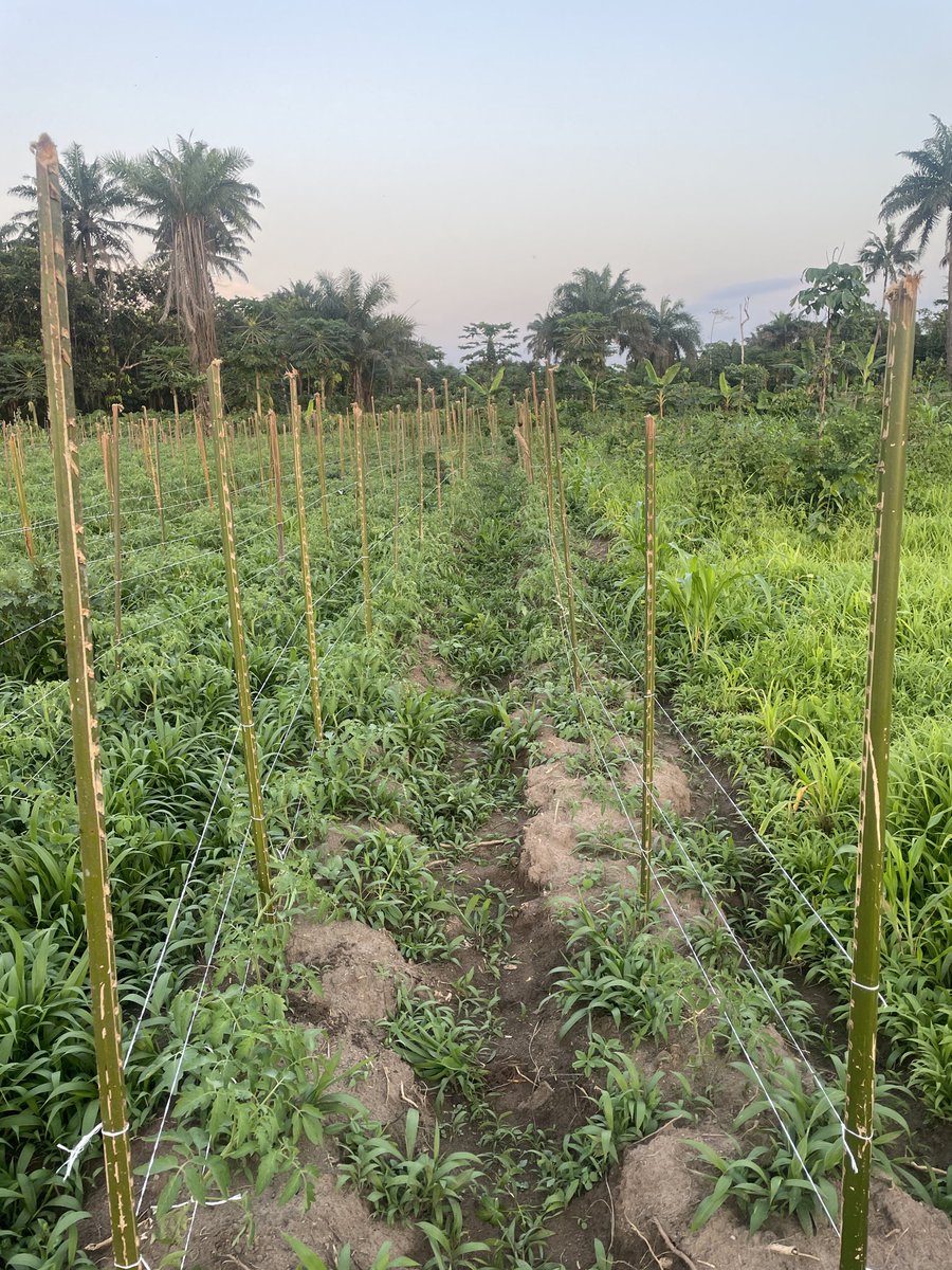 _Samcleave's tweet image. Building. 
We go meet for front