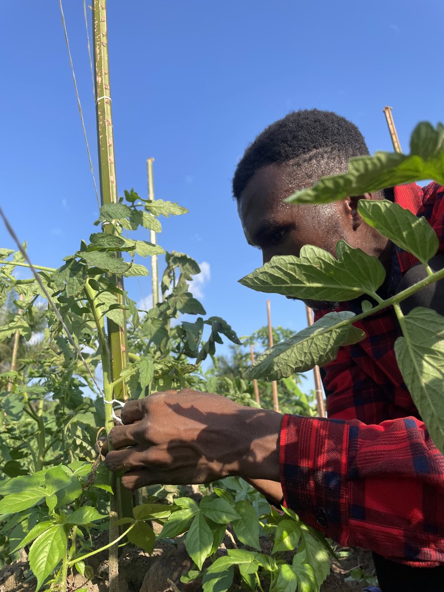 _Samcleave's tweet image. Building. 
We go meet for front