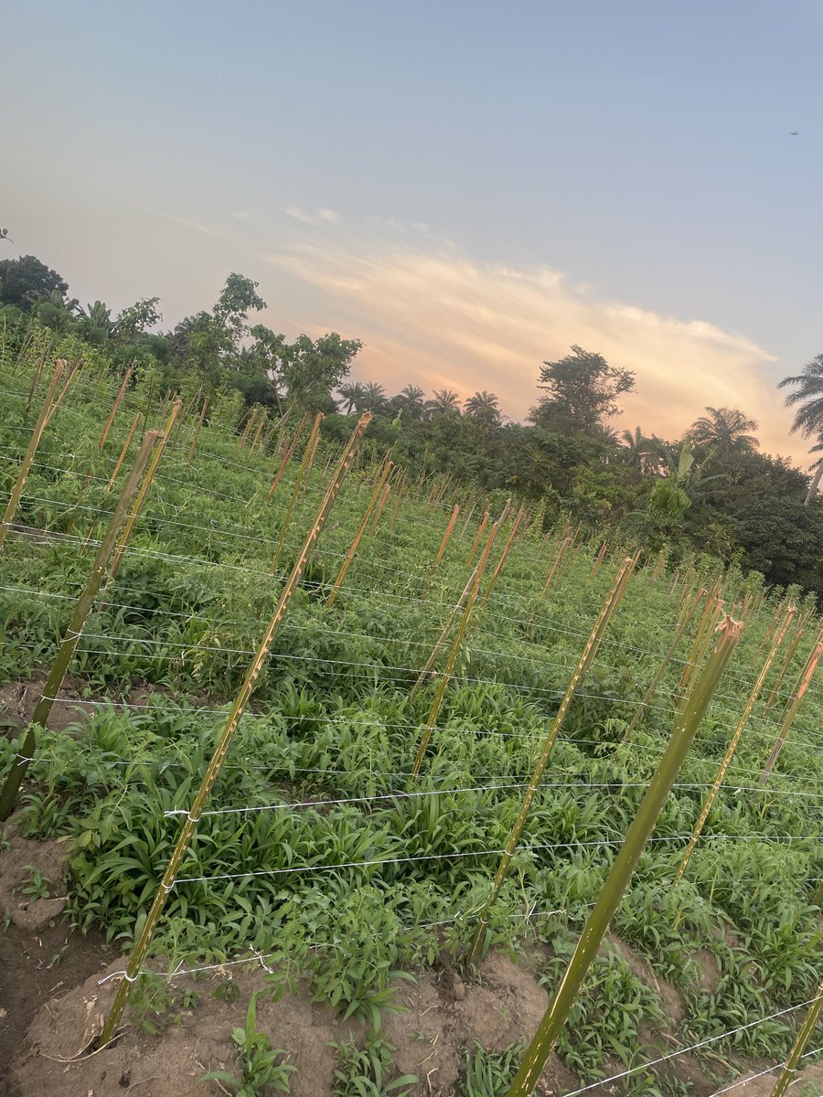 _Samcleave's tweet image. Building. 
We go meet for front