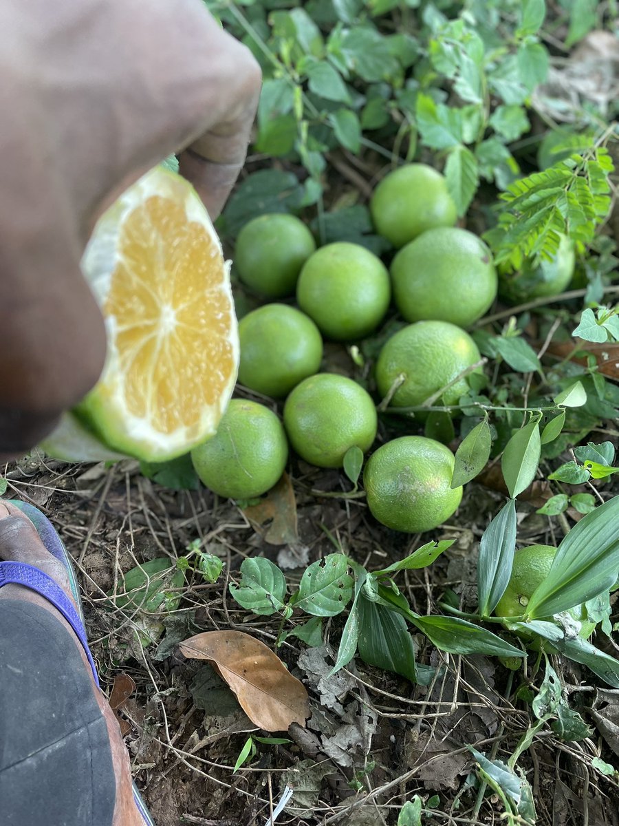 _Samcleave's tweet image. Building. 
We go meet for front